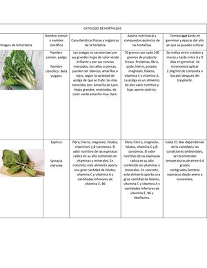 Catalogo De Hortalizas