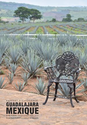 GUADALAJARA RODOLFO Rapport Expérience