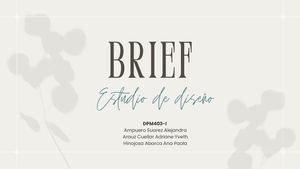 Brief Para Un Emprendimiento (Consultorio Médico) Dpm403 I