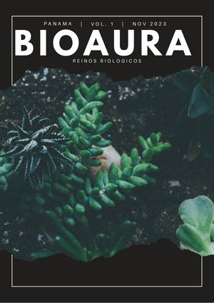 REVISTA BIOAURA