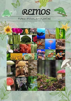 Revista Anastasia, Cinthia, Francelis 11°d (1)