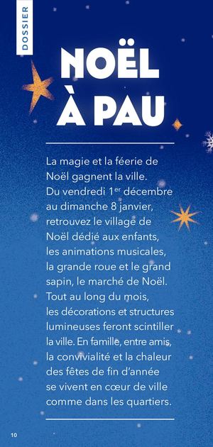 Noël à Pau - Décembre 2023