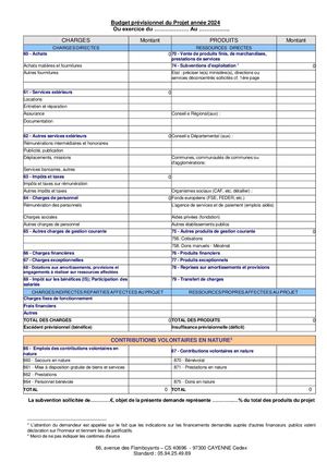 Budget Prévisionnel Aap 2024 Ars Vf