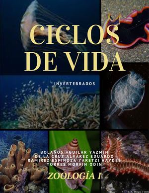 Ciclos De Vida Zoo