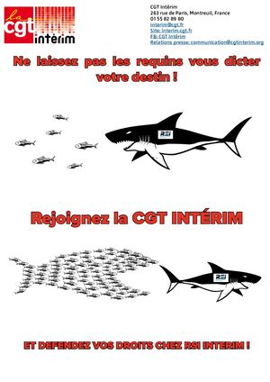 Appel à Candidature RSI