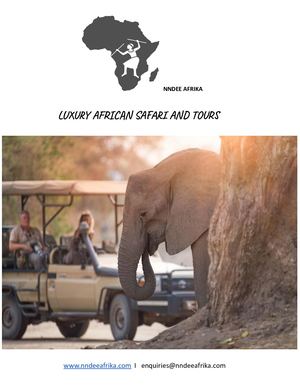 Luxury African Safari And Tours
