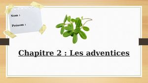 Mon Herbier De Cap Jp (2 Les Adventices)