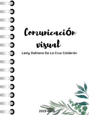 Intro_Lexlydelacruz_pract.final