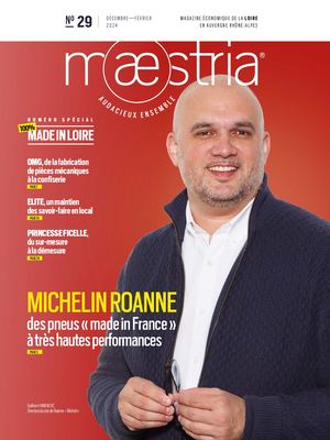 Maestria N°29 24x32 Bd