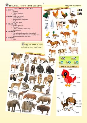 ENGLISH 5.4. I HAVE GOT A DOG.