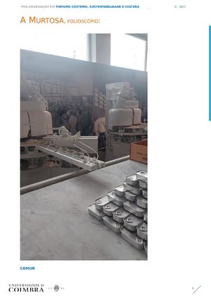 A Murtosa Folioscópio