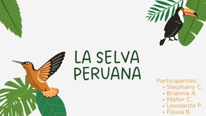 Selva peruana