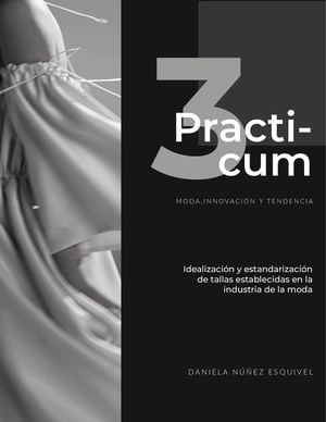 Tesina Practicum 3 - Daniela Núñez Esquivel