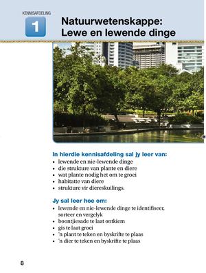 Hs Natuurwetenskappe & Tegnologie Grade 04