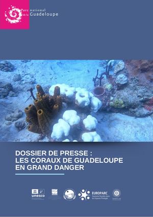 Dossier de presse "Etat de santé des coraux en Guadeloupe"