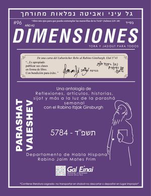 Dimensiones Vaieshev 5784