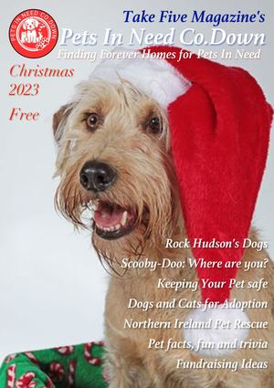 Pets In Need Co Down Xmas 23