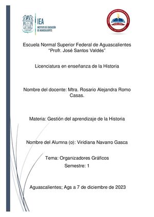 Organizadores Gráficos