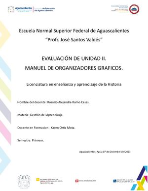 Manual de Organizadores Gráficos