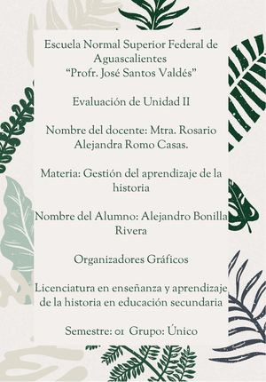 Organizadores Gráficos