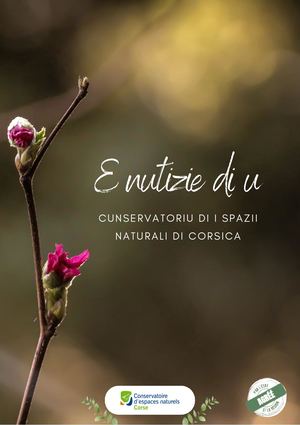 Newsletter MARS 2023