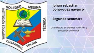 Johan Sebastian Bohorquez Navarro 20231208 093416 0000