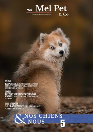Magazine#29 - Nos chiens & nous -5
