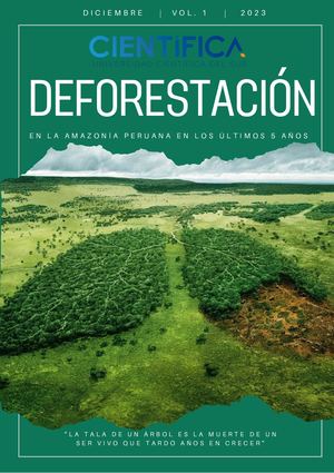 DEFORESTACIÓN EN LA AMAZONÍA PERUANA EN ÚLTIMOS CINCO AÑOS