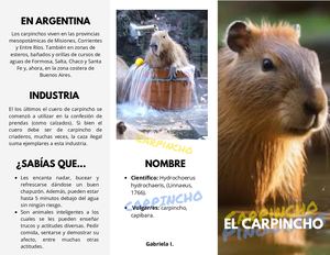 Folleto Tríptico- Carpincho
