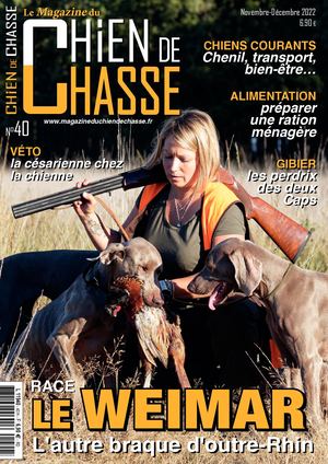 Chien de chasse #40
