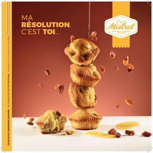 MISTRAL CATALOGUE JANVIER 2024