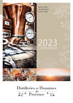 Ddp Brochure Export 2023