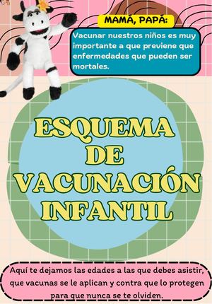 Esquema De Vacunacion