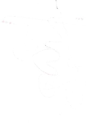 La Partitura Danzada - Sexto