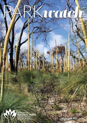 Park Watch #294 Dec 2023