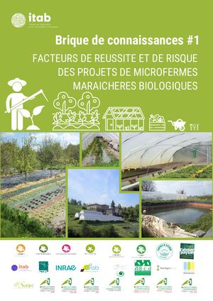 Résultats MMBio #1 : Les facteurs de réussite et de risque en micromaraichage biologique