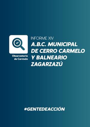 Informe XIV - ABC Municipal De Cerro Carmelo Y Balneario Zagarzazú