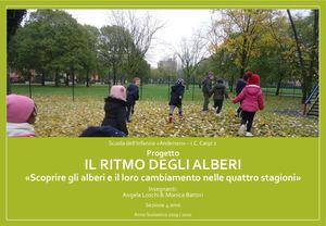Il Ritmo Degli Alberi 2019 20