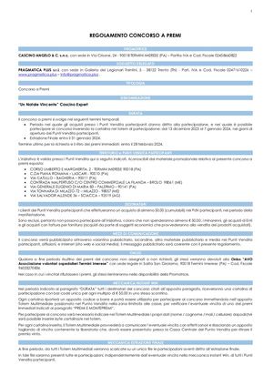 Regolamento Un Natale Vincente - Cascino Expert