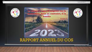 Rapport Annuel Du Cos 12 Décembre 2023