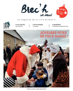 BIN N°31
