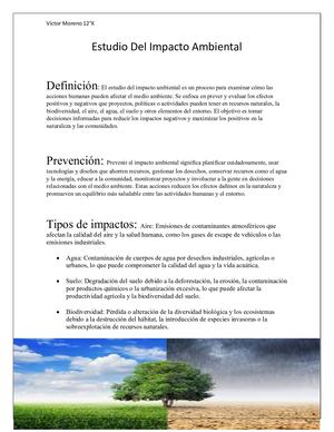 Estudio Del Impacto Ambiental Víctor Moreno 12°k