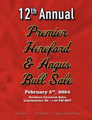 Premier Bull Sale 2024