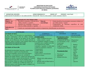 Planificación Semanal Quincenal