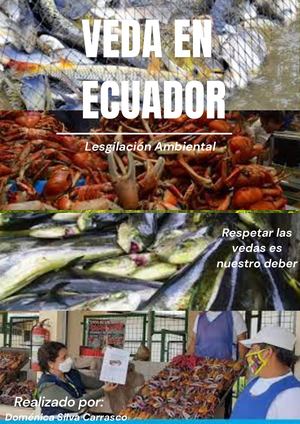 Veda en Ecuador