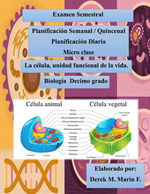 Portafolio de Didáctica Aplicada - Derek Marin 8-987-417
