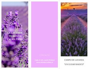 Tríptico Folleto La Lavanda