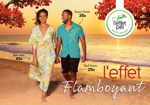 Catalogue l'Effet Flamboyant