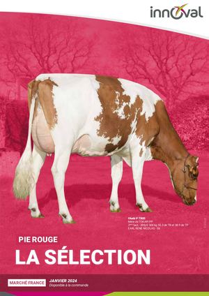 Selection Pie Rouge - Décembre 2023