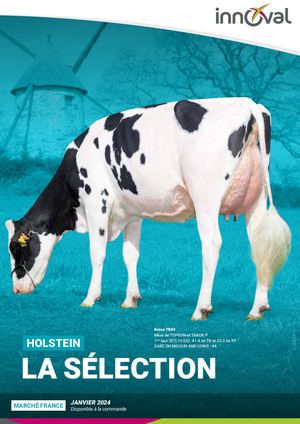 Selection Holstein - Décembre 2023